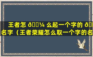 王者怎 🐼 么起一个字的 🌷 名字（王者荣耀怎么取一个字的名字）